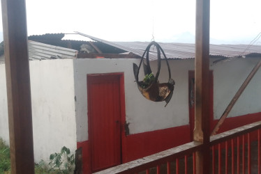 Casa afectada por vendaval en Aranzazu (Caldas).